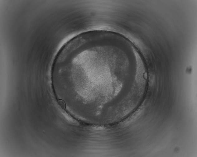 X0000100311230200807031139