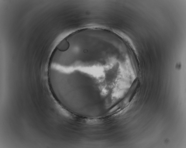 X0000100311231200807031139