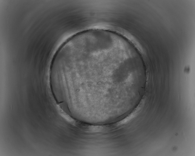X0000100311232200807031139