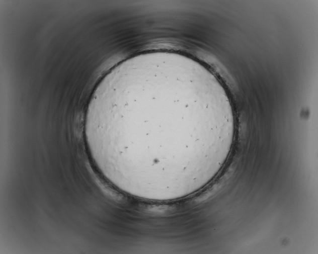 X0000100311233200807031139