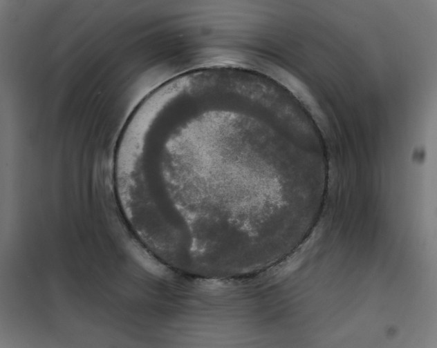 X0000100311234200807031139