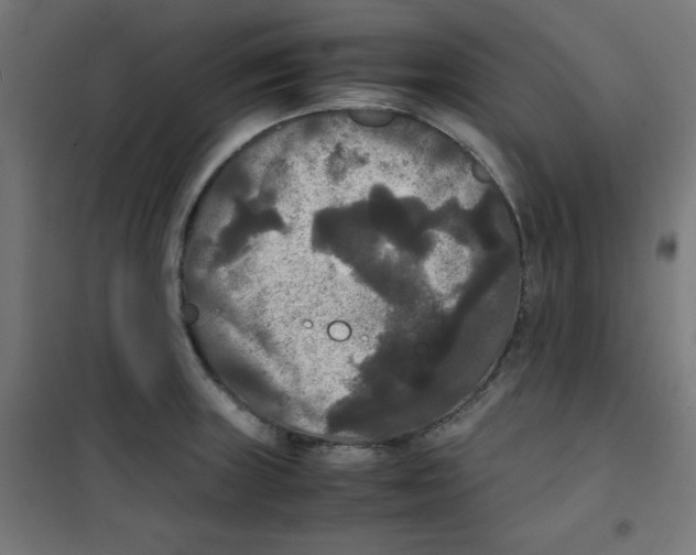 X0000100311235200807031139