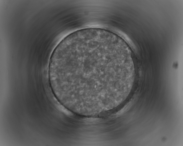 X0000100311236200807031139