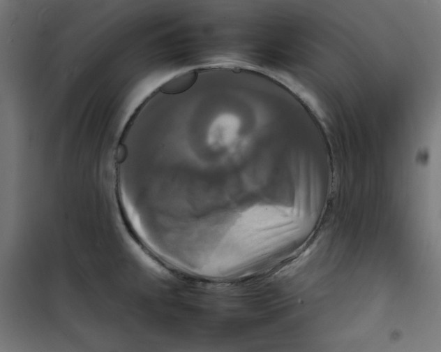 X0000100311239200807031139