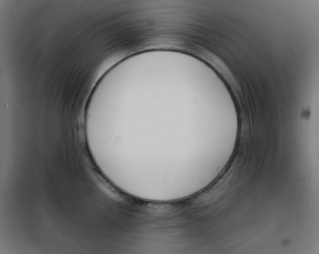 X0000100311242200807031139