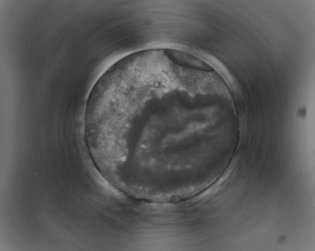 X0000100311244200807031139