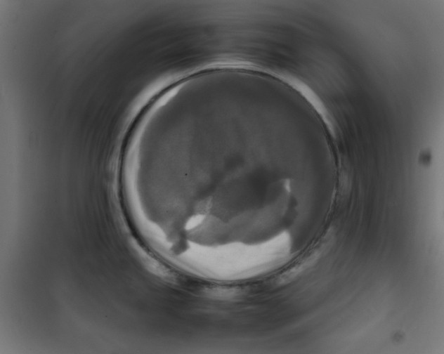 X0000100311245200807031139