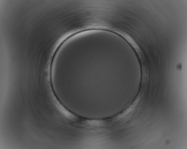 X0000100311246200807031139