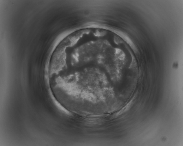 X0000100311247200807031139