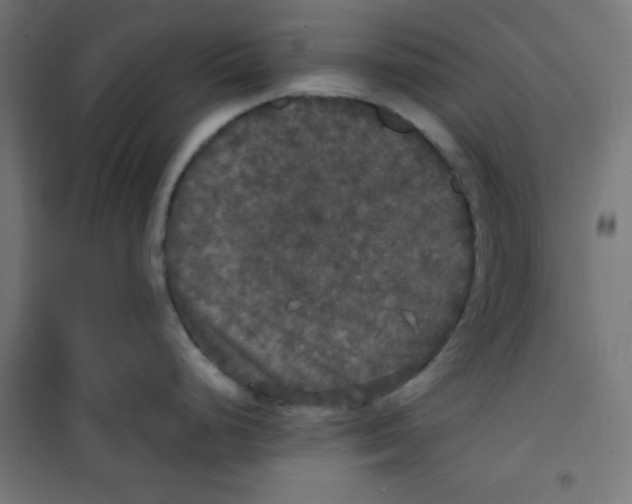 X0000100311248200807031139