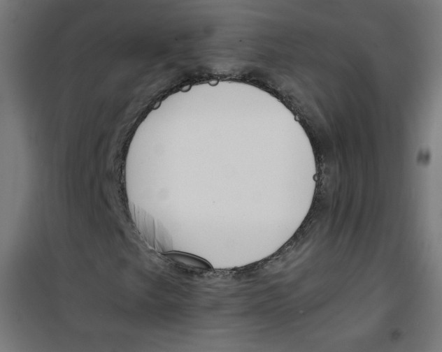 X0000100311249200807031138