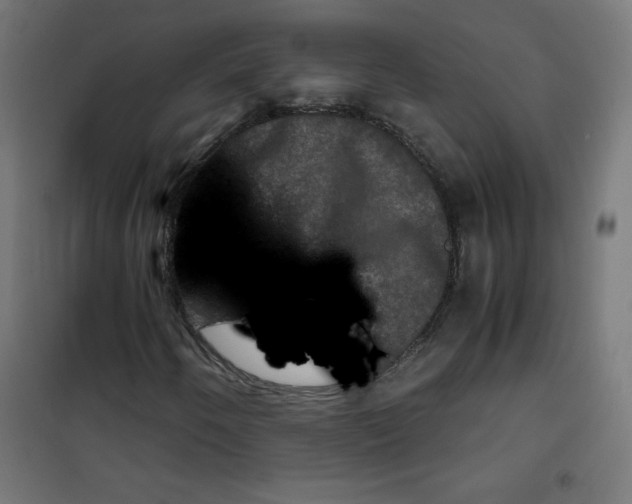 X0000100311250200807031138