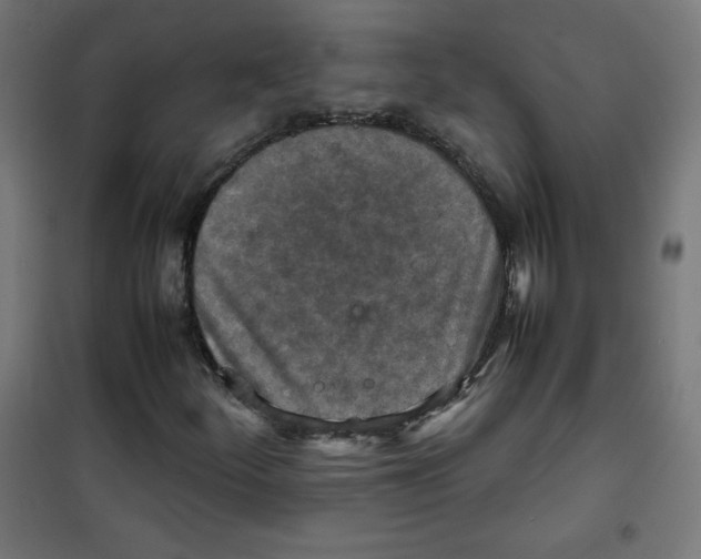 X0000100311252200807031138