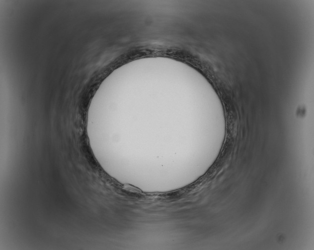 X0000100311253200807031138