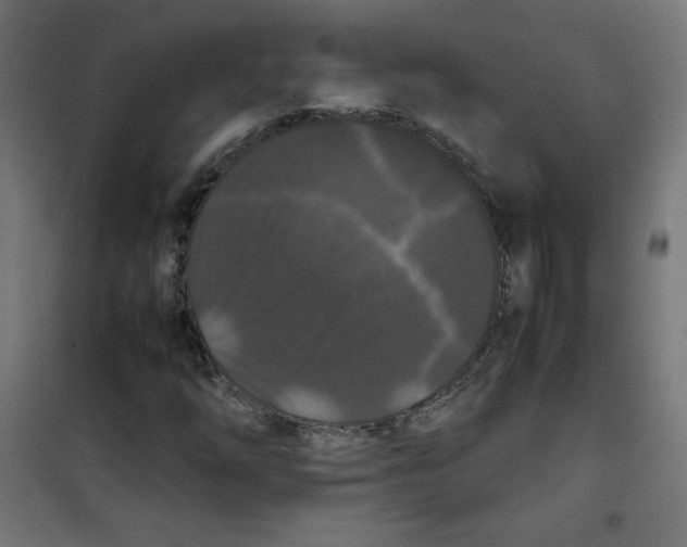 X0000100311254200807031138