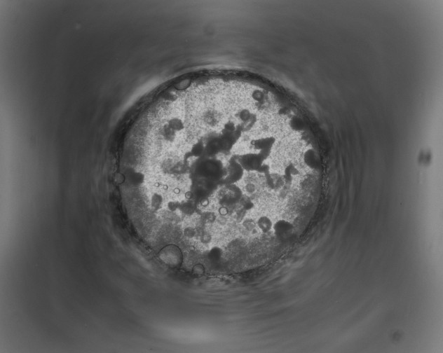 X0000100311255200807031138