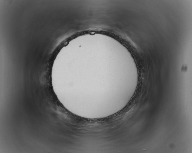X0000100311256200807031138