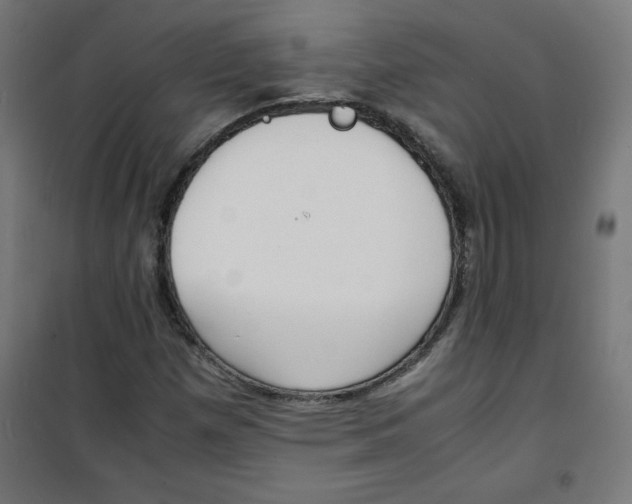 X0000100311257200807031138