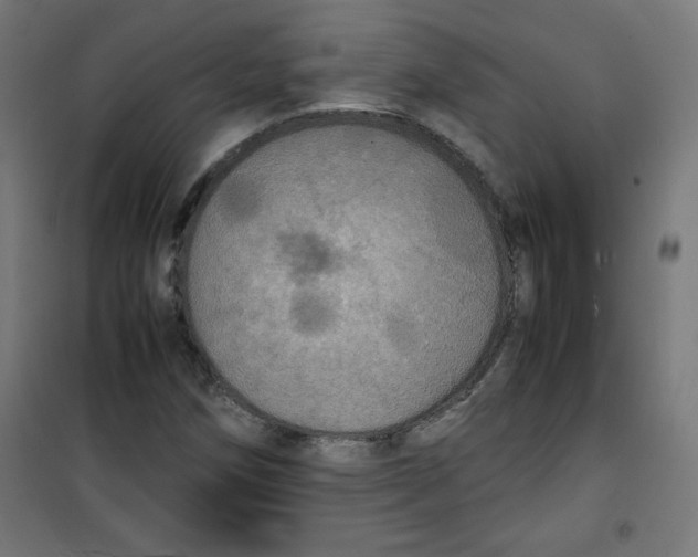 X0000100311258200807031138