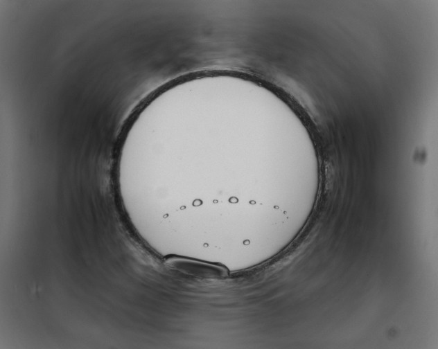 X0000100311260200807031138
