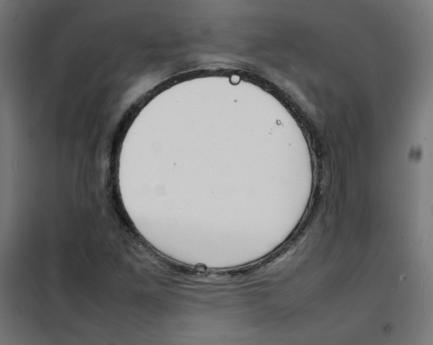 X0000100311261200807031138