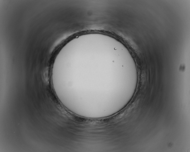 X0000100311262200807031138