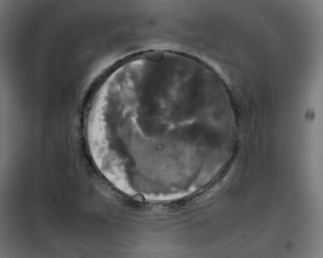 X0000100311263200807031138