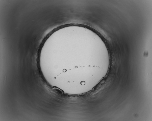 X0000100311264200807031138