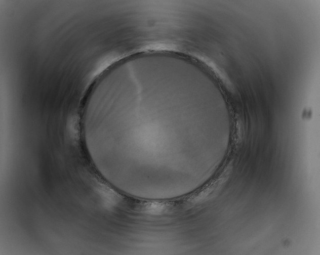 X0000100311266200807031138