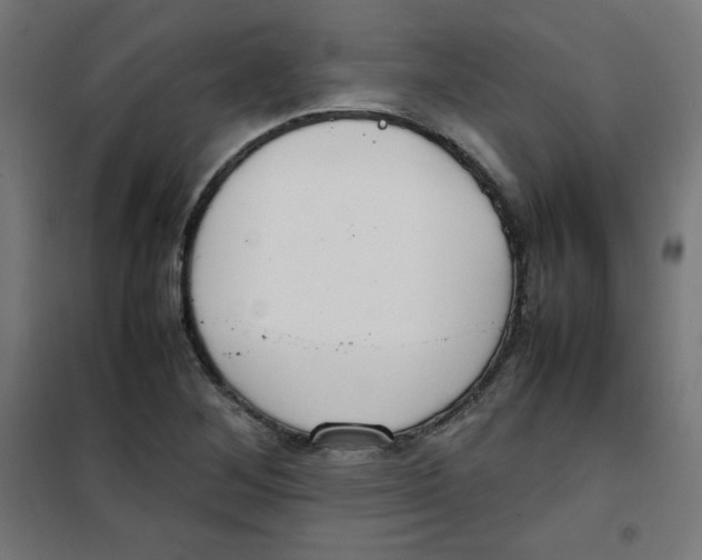 X0000100311268200807031138