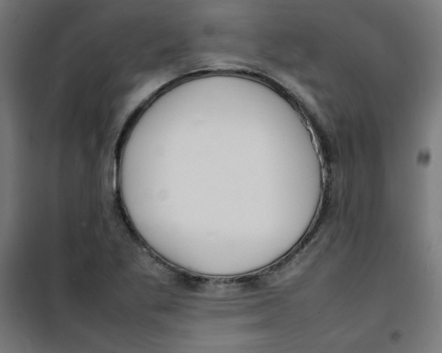 X0000100311269200807031138