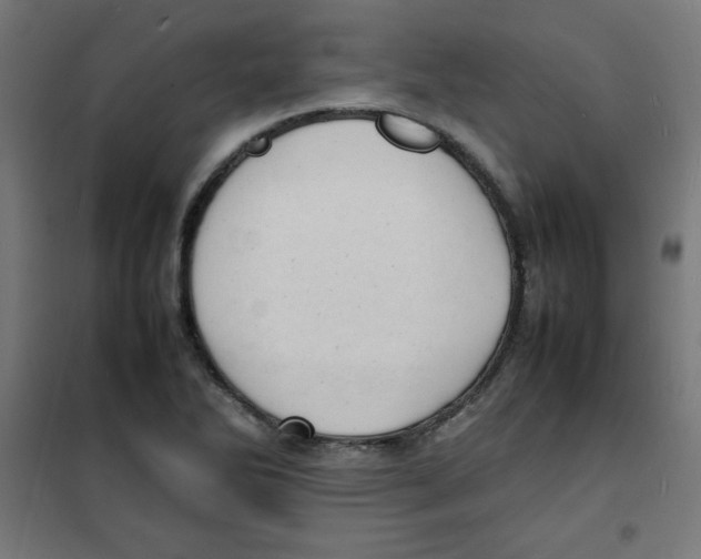 X0000100311270200807031138