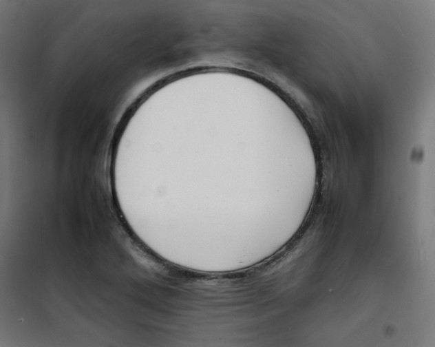X0000100311272200807031138