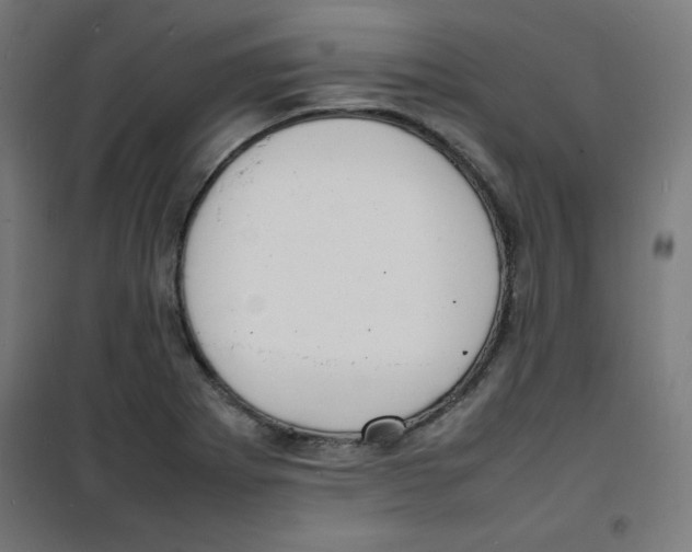 X0000100311273200807031138