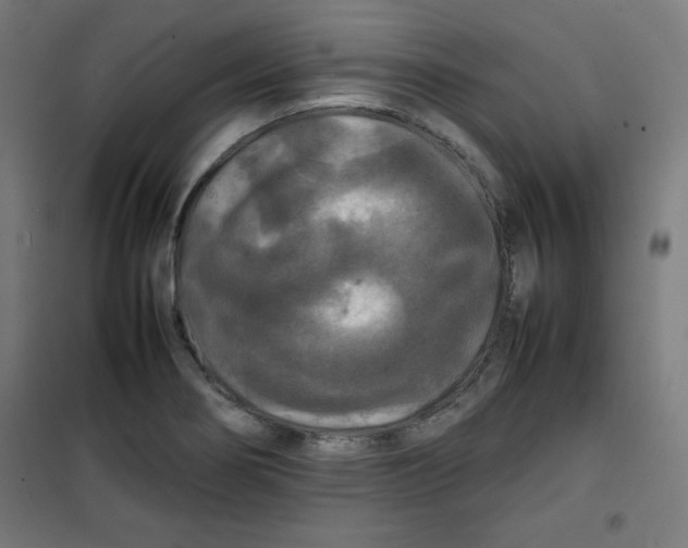 X0000100311274200807031138