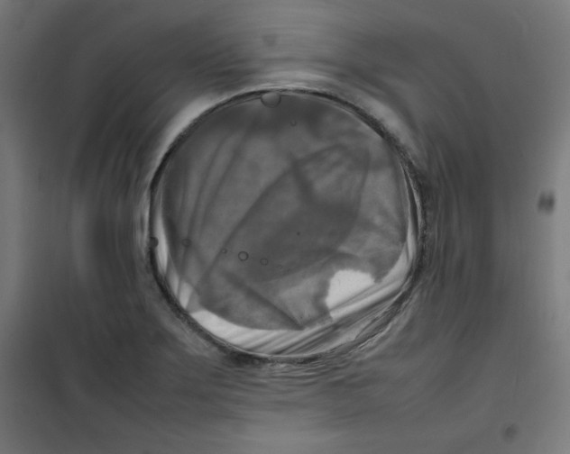 X0000100311275200807031138