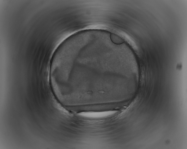 X0000100311276200807031138