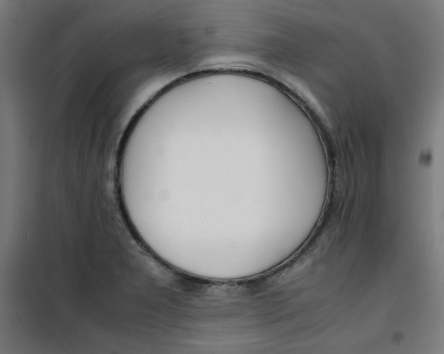 X0000100311277200807031138