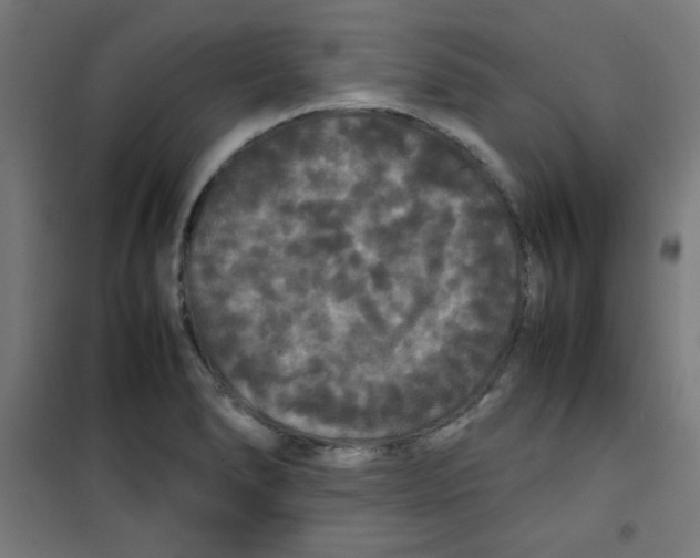 X0000100311278200807031138