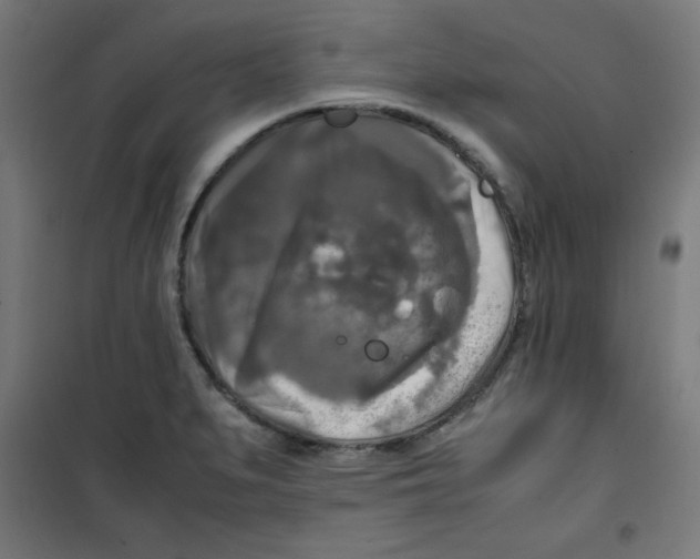 X0000100311279200807031138