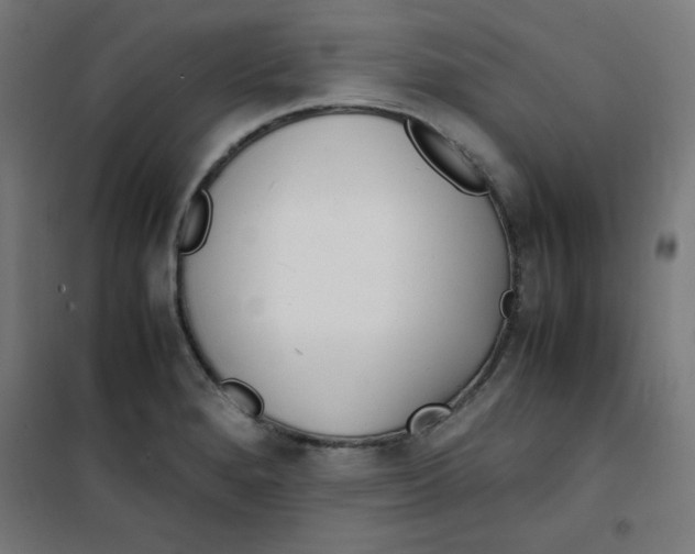 X0000100311280200807031138