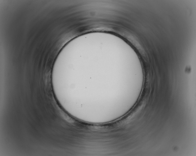 X0000100311281200807031138