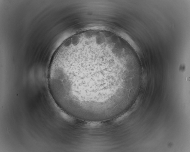 X0000100311282200807031138