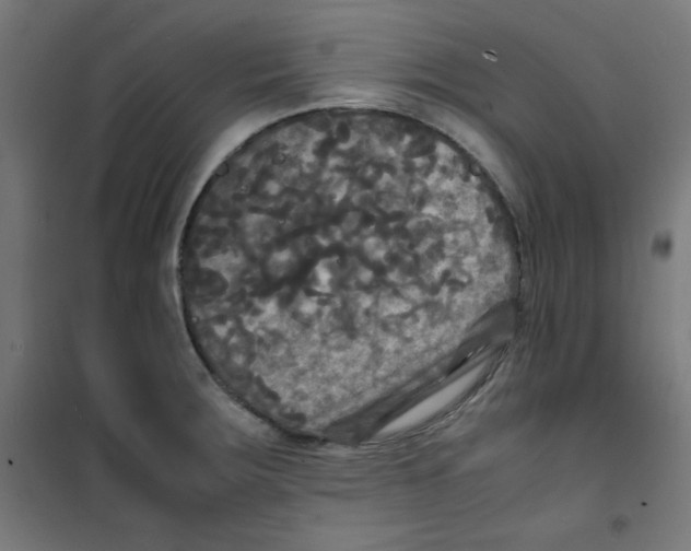 X0000100311283200807031138