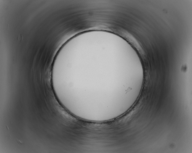 X0000100311284200807031138