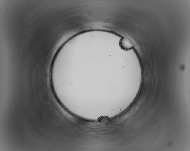 X0000100311285200807031138