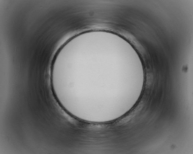 X0000100311286200807031138