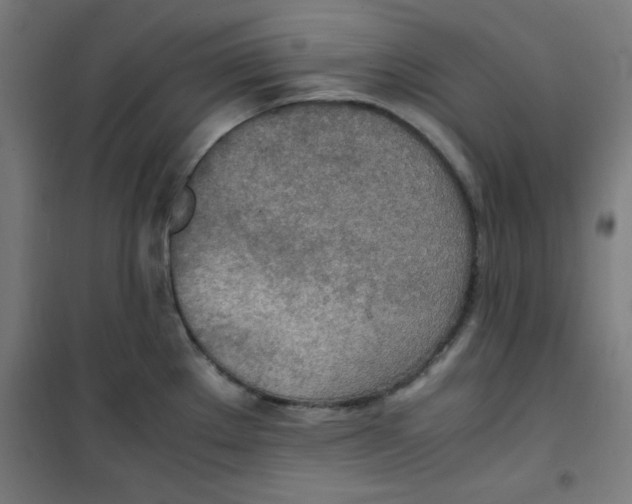 X0000100311289200807031138