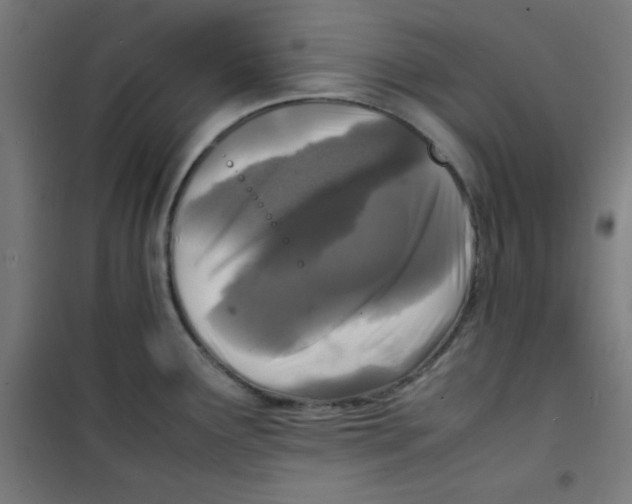 X0000100311291200807031138