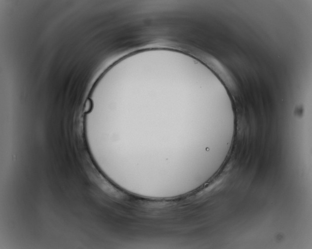 X0000100311292200807031138
